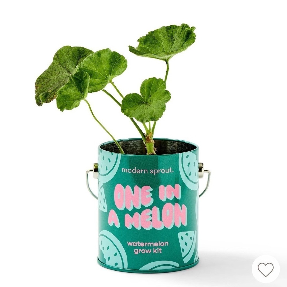 Modern Sprout Watermelon Grow Kit Kids OS Teal One In A Melon Tin‎ New